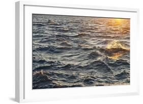 Sea at Sunset, Korcula Island, Croatia-Guido Cozzi-Framed Photographic Print