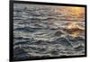 Sea at Sunset, Korcula Island, Croatia-Guido Cozzi-Framed Photographic Print