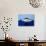 Sea Bass in a Bowl-Luzia Ellert-Photographic Print displayed on a wall