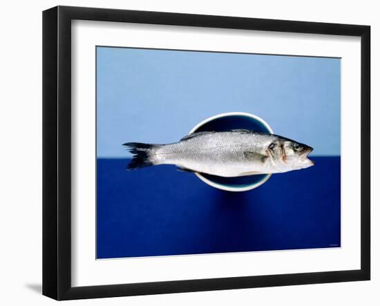 Sea Bass in a Bowl-Luzia Ellert-Framed Photographic Print