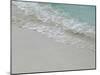 Sea, beach and sand, gentle waves picking up sand particles, Galapagos Islands-Jean Hosking-Mounted Photographic Print