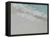 Sea, beach and sand, gentle waves picking up sand particles, Galapagos Islands-Jean Hosking-Framed Stretched Canvas