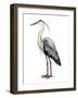 Sea Bird I-Grace Popp-Framed Premium Giclee Print