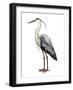 Sea Bird I-Grace Popp-Framed Premium Giclee Print