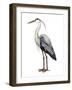 Sea Bird I-Grace Popp-Framed Art Print