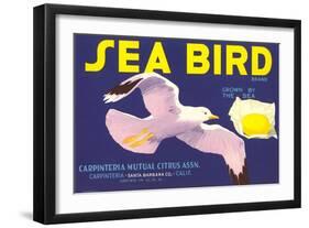 Sea Bird Lemon Label-null-Framed Art Print