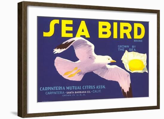 Sea Bird Lemon Label-null-Framed Art Print