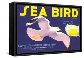Sea Bird Lemon Label-null-Framed Stretched Canvas