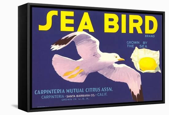 Sea Bird Lemon Label-null-Framed Stretched Canvas