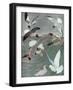 Sea Birds, 1913-Louis Agassiz Fuertes-Framed Giclee Print