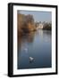 Sea Birds (Gulls) on Ice Covered Frozen Lake with Westminster Backdrop in Winter-Eleanor Scriven-Framed Photographic Print