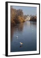 Sea Birds (Gulls) on Ice Covered Frozen Lake with Westminster Backdrop in Winter-Eleanor Scriven-Framed Photographic Print