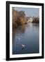 Sea Birds (Gulls) on Ice Covered Frozen Lake with Westminster Backdrop in Winter-Eleanor Scriven-Framed Photographic Print