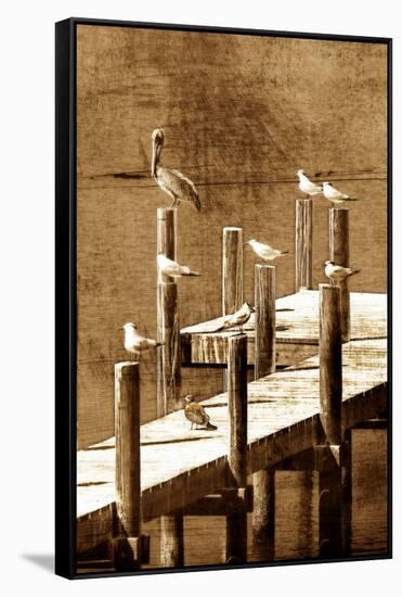 Sea Birds I-Alan Hausenflock-Framed Stretched Canvas