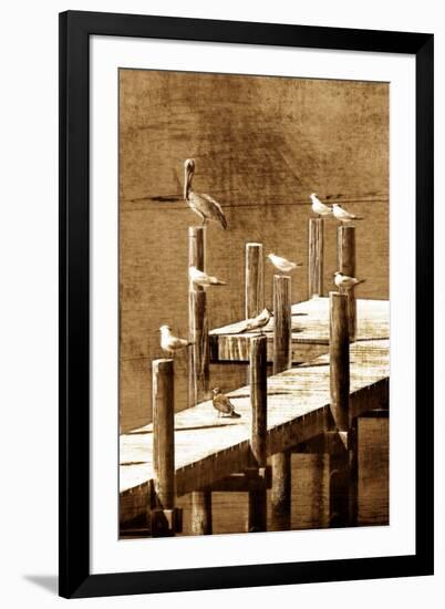 Sea Birds I-Alan Hausenflock-Framed Photo