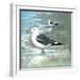 Sea Birds I-Gregory Gorham-Framed Art Print