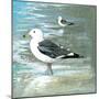 Sea Birds I-Gregory Gorham-Mounted Art Print