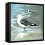 Sea Birds I-Gregory Gorham-Framed Stretched Canvas