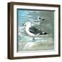 Sea Birds I-Gregory Gorham-Framed Art Print