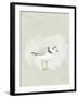 Sea Birds I-Kathrine Lovell-Framed Art Print