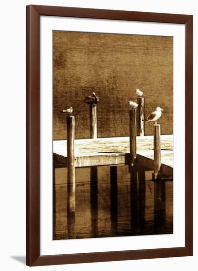 Sea Birds II-Alan Hausenflock-Framed Photo