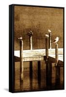 Sea Birds II-Alan Hausenflock-Framed Stretched Canvas