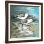 Sea Birds II-Gregory Gorham-Framed Art Print