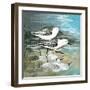 Sea Birds II-Gregory Gorham-Framed Art Print