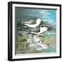 Sea Birds II-Gregory Gorham-Framed Art Print