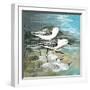 Sea Birds II-Gregory Gorham-Framed Art Print