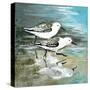 Sea Birds II-Gregory Gorham-Stretched Canvas