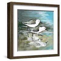 Sea Birds II-Gregory Gorham-Framed Art Print
