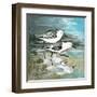 Sea Birds II-Gregory Gorham-Framed Art Print