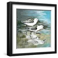 Sea Birds II-Gregory Gorham-Framed Art Print