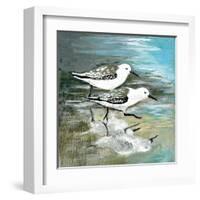 Sea Birds II-Gregory Gorham-Framed Art Print