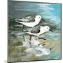 Sea Birds II-Gregory Gorham-Mounted Art Print