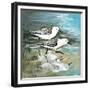 Sea Birds II-Gregory Gorham-Framed Premium Giclee Print