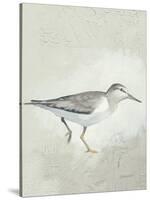 Sea Birds III-Kathrine Lovell-Stretched Canvas