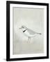 Sea Birds IV-Kathrine Lovell-Framed Art Print