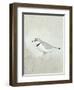 Sea Birds IV-Kathrine Lovell-Framed Art Print