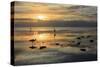 Sea Birds Low Tide-Robert Goldwitz-Stretched Canvas