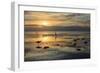 Sea Birds Low Tide-Robert Goldwitz-Framed Giclee Print