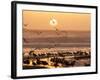 Sea Birds on Beach, Sun Setting in Mist, Santa Cruz Coast, California, USA,-Tom Norring-Framed Photographic Print