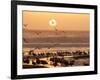 Sea Birds on Beach, Sun Setting in Mist, Santa Cruz Coast, California, USA,-Tom Norring-Framed Photographic Print