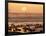 Sea Birds on Beach, Sun Setting in Mist, Santa Cruz Coast, California, USA,-Tom Norring-Framed Photographic Print