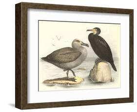 Sea Birds-null-Framed Art Print