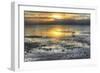 Sea Birrd Low Tide 2-Robert Goldwitz-Framed Giclee Print