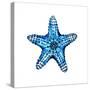 Sea Blue Starfish-Crystal Smith-Stretched Canvas