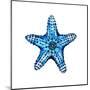 Sea Blue Starfish-Crystal Smith-Mounted Art Print