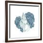 Sea Blues 2-Kimberly Allen-Framed Art Print